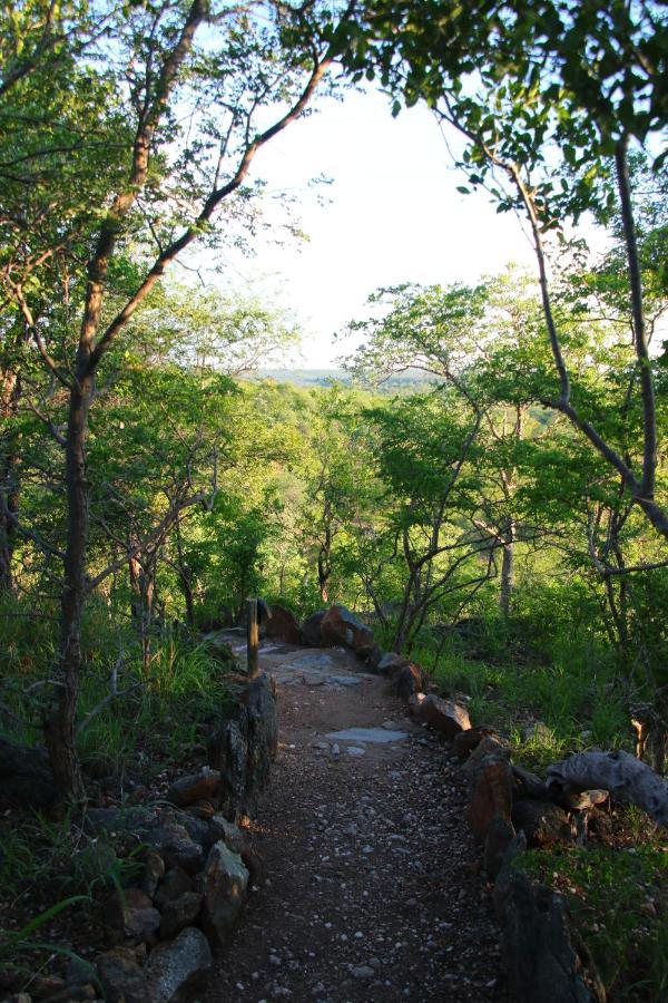 Parsons Hilltop Safari Camp Reserva de Caça de Balule Exterior foto